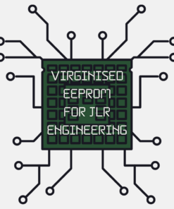 Virgin file